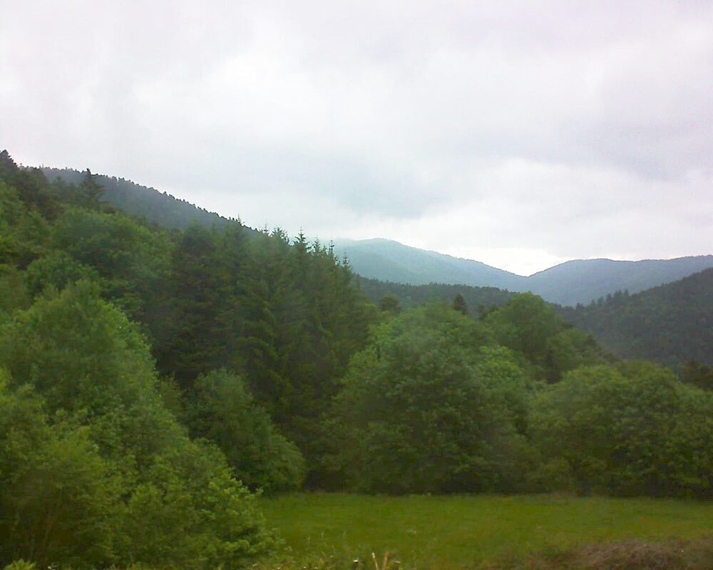 Le petit ballon (Alsace, Vosges) le 22.05.2025 à 11:15