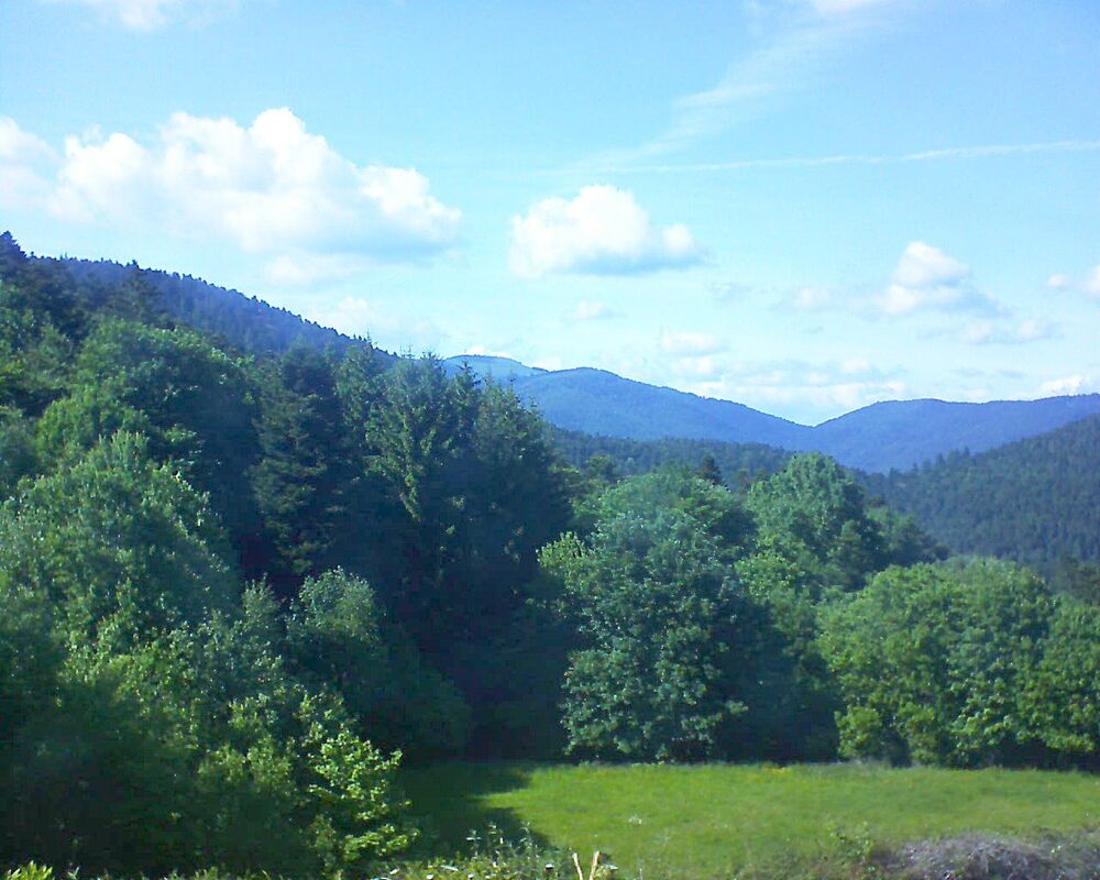 Le petit ballon (Alsace, Vosges) le 22.05.2025 à 16:45