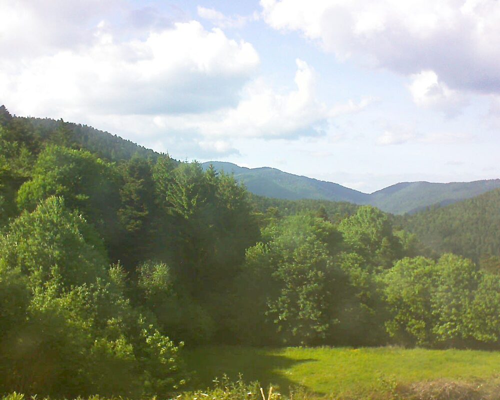 Le petit ballon (Alsace, Vosges) le 22.05.2025 à 17:30