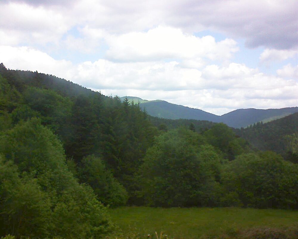 Le petit ballon (Alsace, Vosges) le 23.05.2025 à 11:15