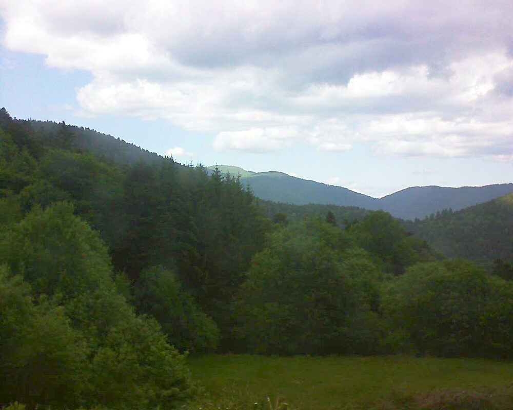 Le petit ballon (Alsace, Vosges) le 23.05.2025 à 14:45