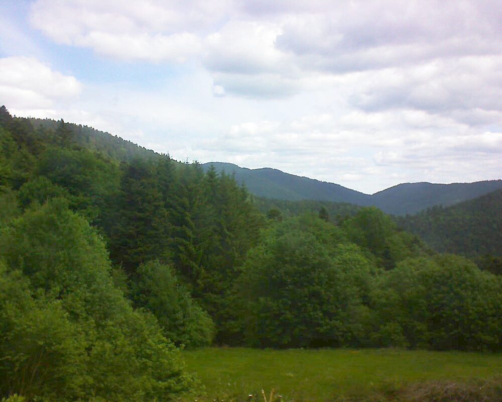 Le petit ballon (Alsace, Vosges) le 24.05.2025 à 11:00