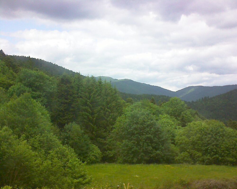 Le petit ballon vu depuis le Domaine Langmatt à Murbach le 26.05.2025 à 14:45 Le petit ballon (Alsace, Vosges) le 26.05.2025 à 14:45