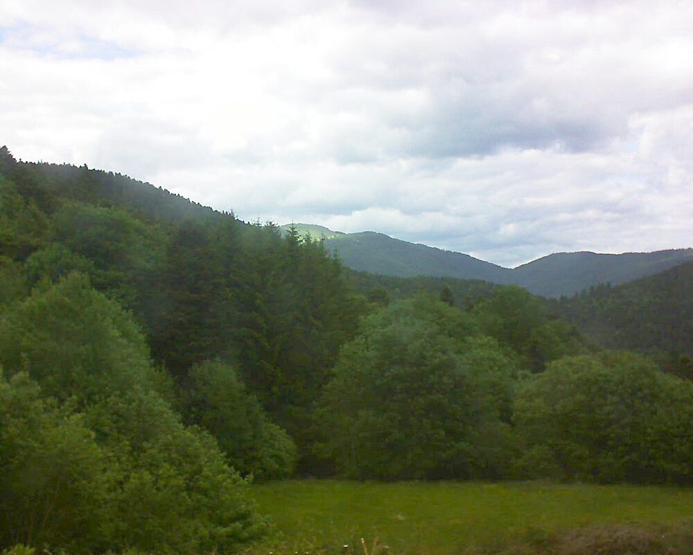 Le petit ballon (Alsace, Vosges) le 26.05.2025 à 16:45