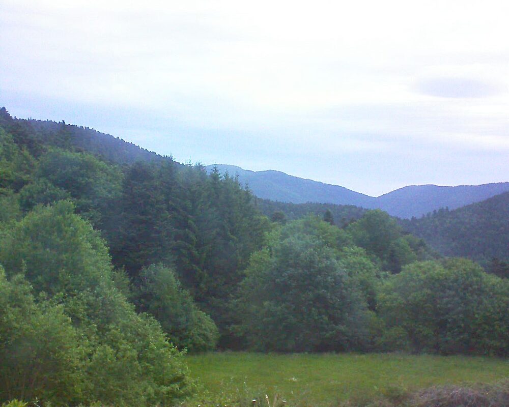 Le petit ballon (Alsace, Vosges) le 27.05.2025 à 05:45