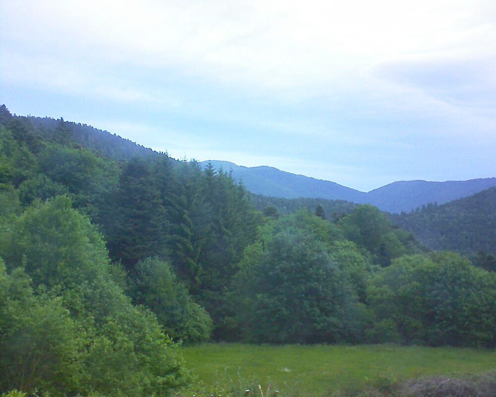 Le petit ballon (Alsace, Vosges) le 27.05.2025 à 06:30