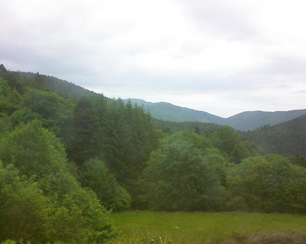 Le petit ballon (Alsace, Vosges) le 27.05.2025 à 08:30