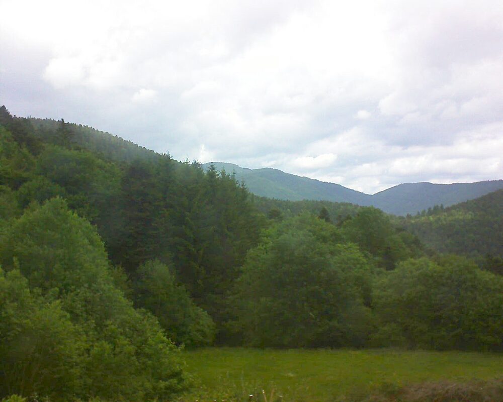 Le petit ballon (Alsace, Vosges) le 27.05.2025 à 11:30