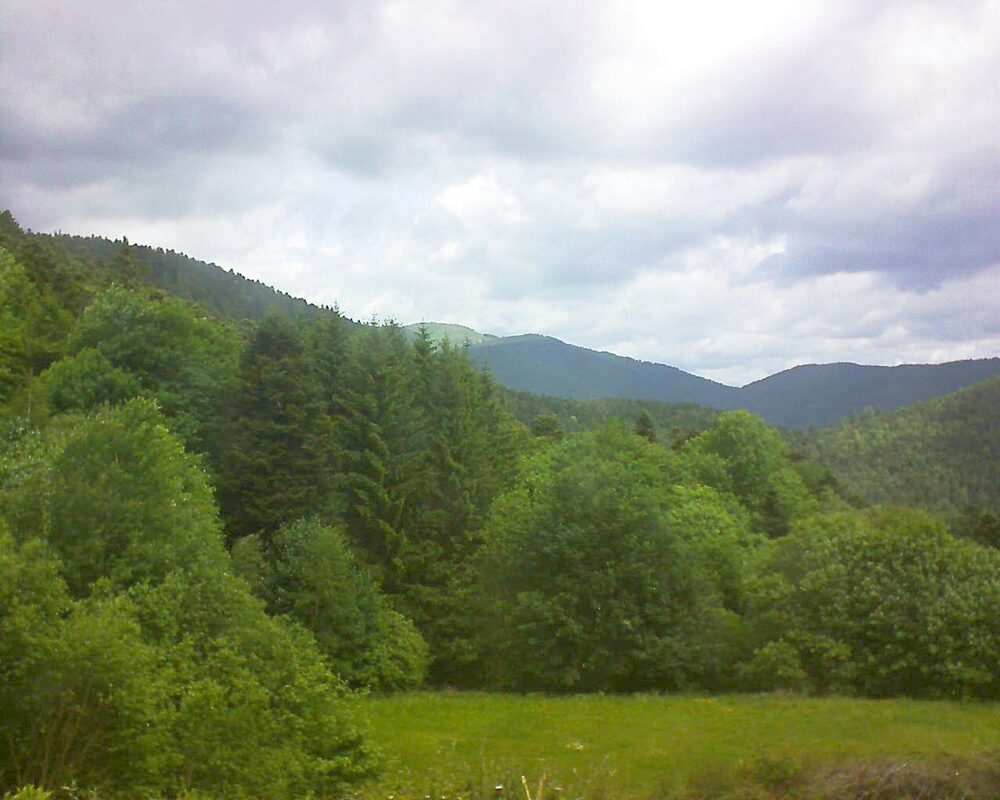 Le petit ballon vu depuis le Domaine Langmatt à Murbach le 27.05.2025 à 11:45 Le petit ballon (Alsace, Vosges) le 27.05.2025 à 11:45