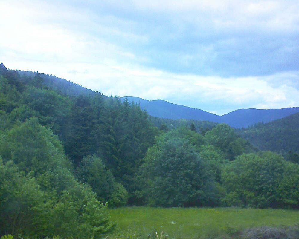 Le petit ballon vu depuis le Domaine Langmatt à Murbach le 27.05.2025 à 14:30 Le petit ballon (Alsace, Vosges) le 27.05.2025 à 14:30