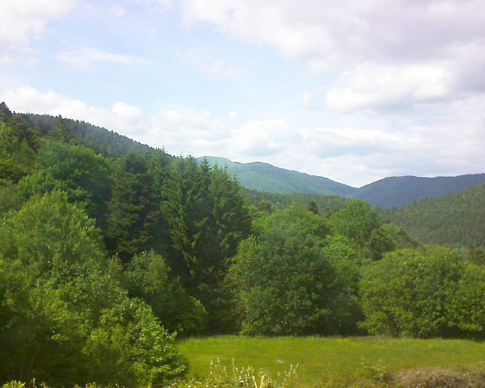 Le petit ballon vu depuis le Domaine Langmatt à Murbach le 27.05.2025 à 15:45 Le petit ballon (Alsace, Vosges) le 27.05.2025 à 15:45