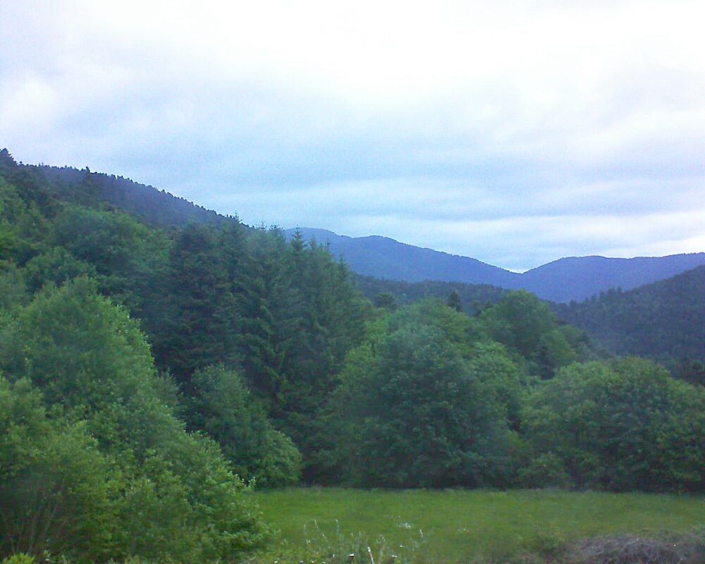 Le petit ballon (Alsace, Vosges) le 28.05.2025 à 06:00