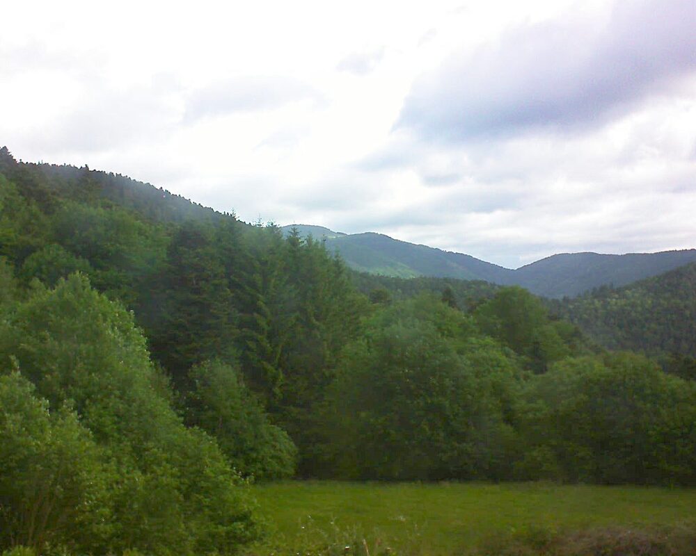Le petit ballon (Alsace, Vosges) le 28.05.2025 à 08:45