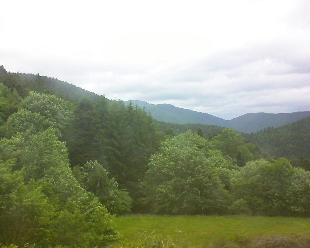 Le petit ballon (Alsace, Vosges) le 28.05.2025 à 09:15