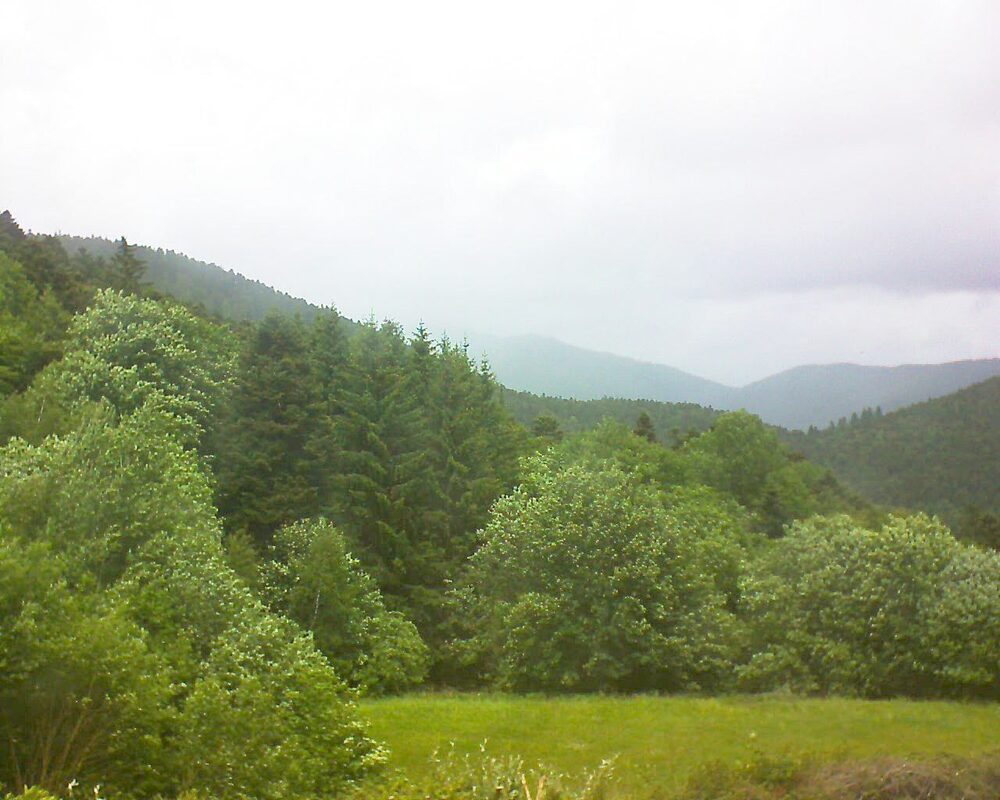 Le petit ballon vu depuis le Domaine Langmatt à Murbach le 28.05.2025 à 13:45 Le petit ballon (Alsace, Vosges) le 28.05.2025 à 13:45