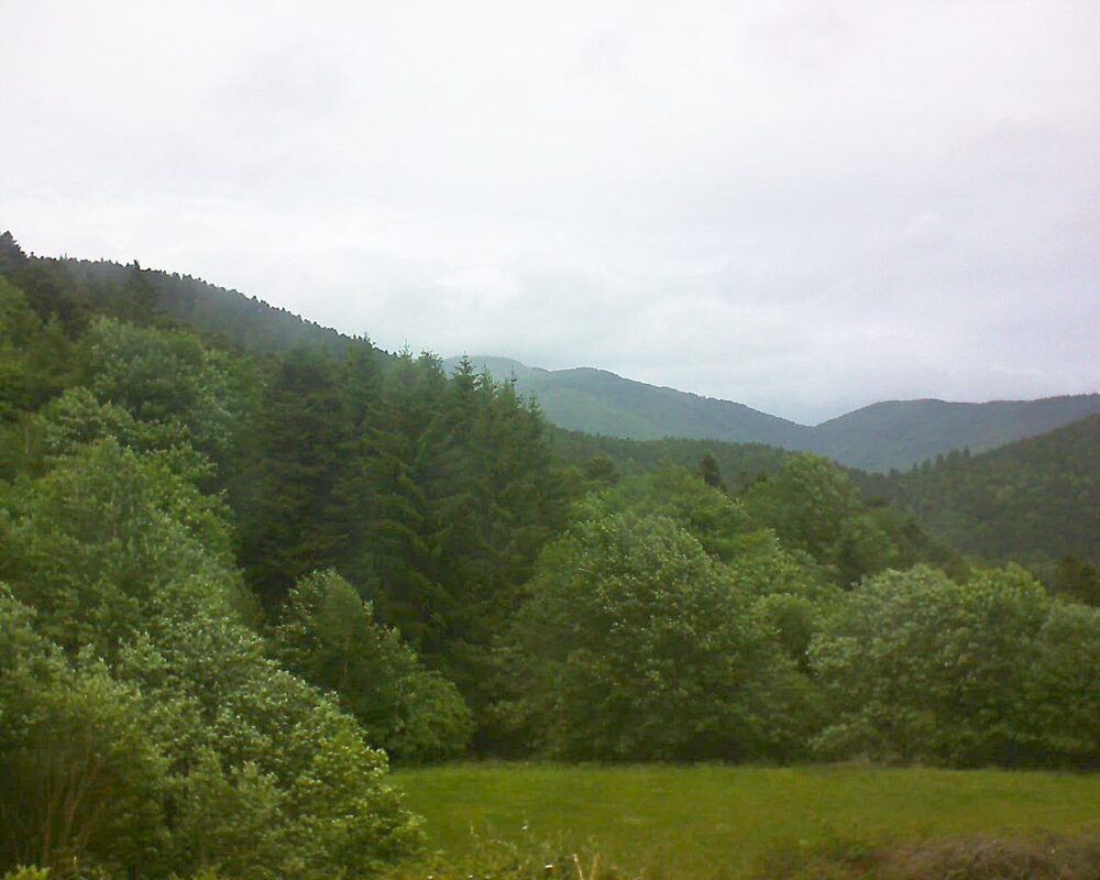 Le petit ballon (Alsace, Vosges) le 28.05.2025 à 14:30