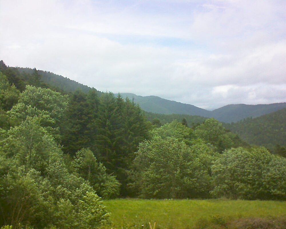 Le petit ballon vu depuis le Domaine Langmatt à Murbach le 28.05.2025 à 14:45 Le petit ballon (Alsace, Vosges) le 28.05.2025 à 14:45
