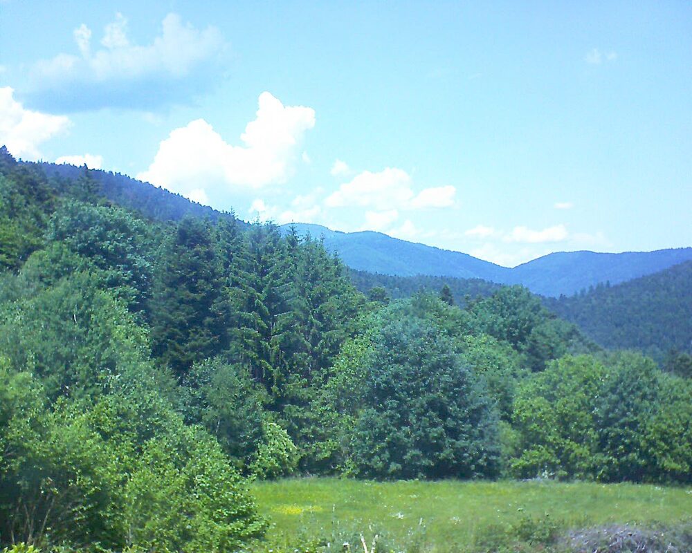 Le petit ballon vu depuis le Domaine Langmatt à Murbach le 31.05.2025 à 13:45 Le petit ballon (Alsace, Vosges) le 31.05.2025 à 13:45