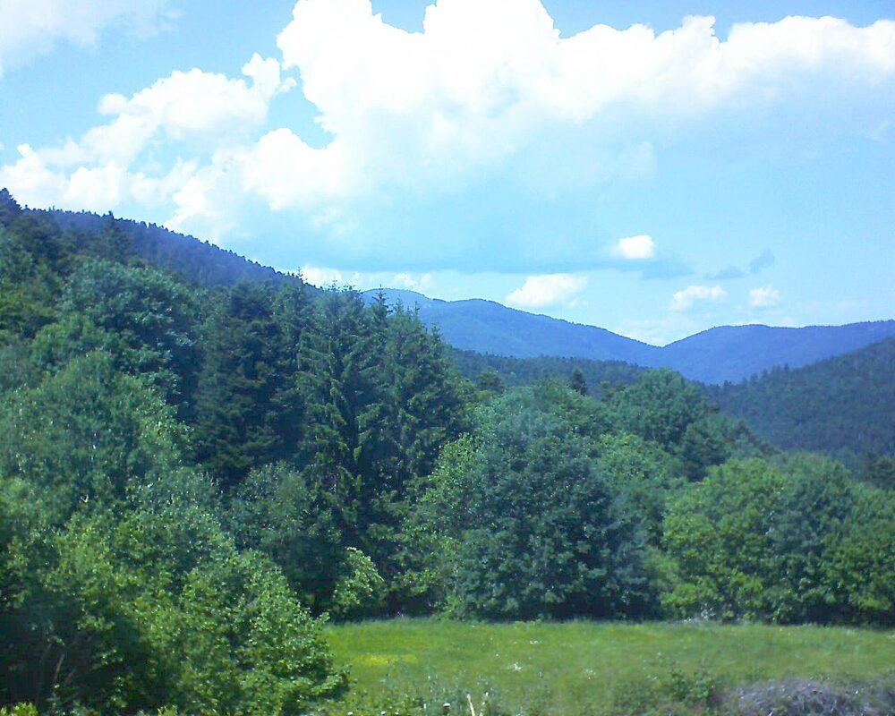 Le petit ballon vu depuis le Domaine Langmatt à Murbach le 31.05.2025 à 14:45 Le petit ballon (Alsace, Vosges) le 31.05.2025 à 14:45