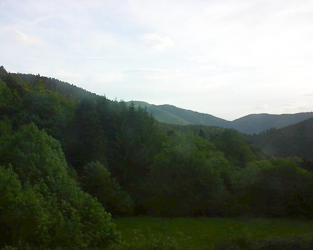 Le petit ballon (Alsace, Vosges) le 01.06.2025 à 06:30