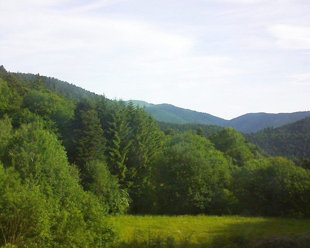 Le petit ballon vu depuis le Domaine Langmatt à Murbach le 01.06.2025 à 08:30 Le petit ballon (Alsace, Vosges) le 01.06.2025 à 08:30