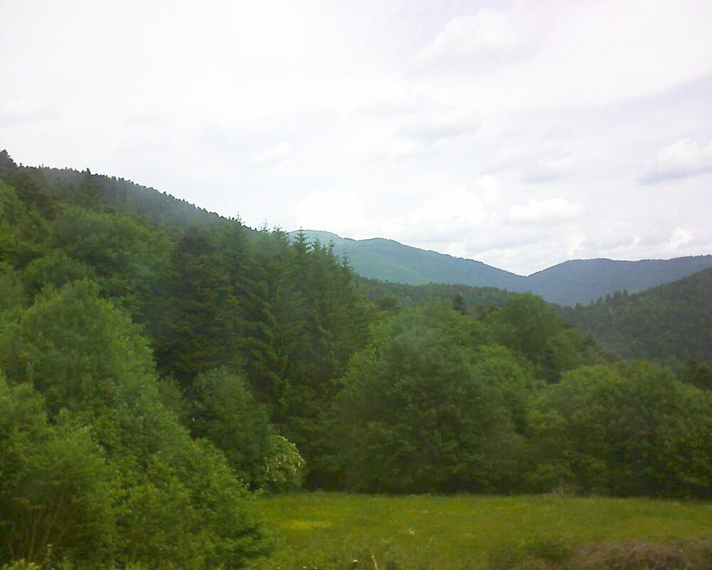 Le petit ballon (Alsace, Vosges) le 01.06.2025 à 11:15