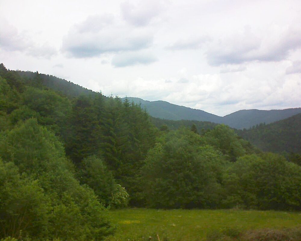 Le petit ballon (Alsace, Vosges) le 01.06.2025 à 12:15