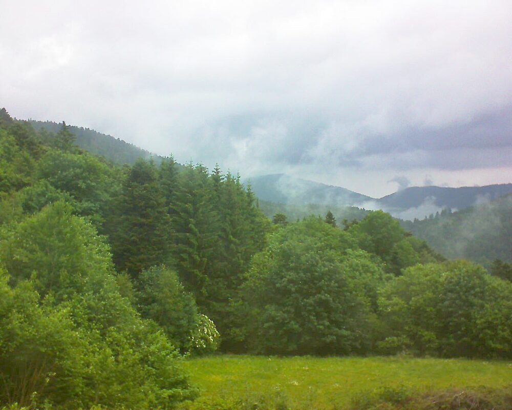 Le petit ballon (Alsace, Vosges) le 02.06.2025 à 11:00