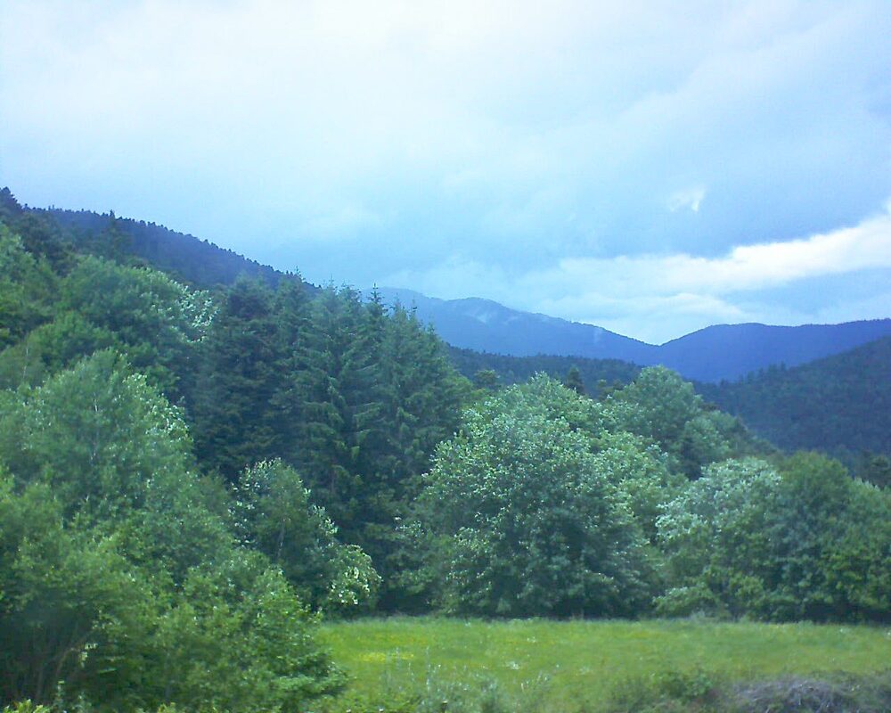 Le petit ballon vu depuis le Domaine Langmatt à Murbach le 02.06.2025 à 14:45 Le petit ballon (Alsace, Vosges) le 02.06.2025 à 14:45