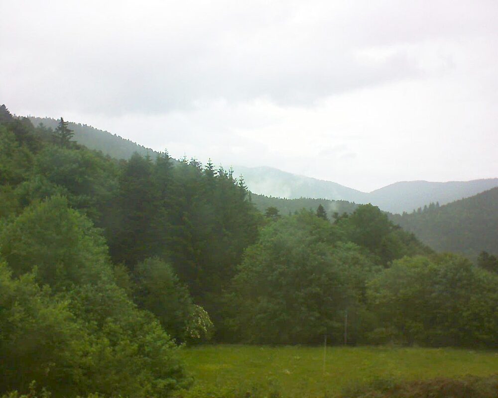 Le petit ballon (Alsace, Vosges) le 02.06.2025 à 16:45