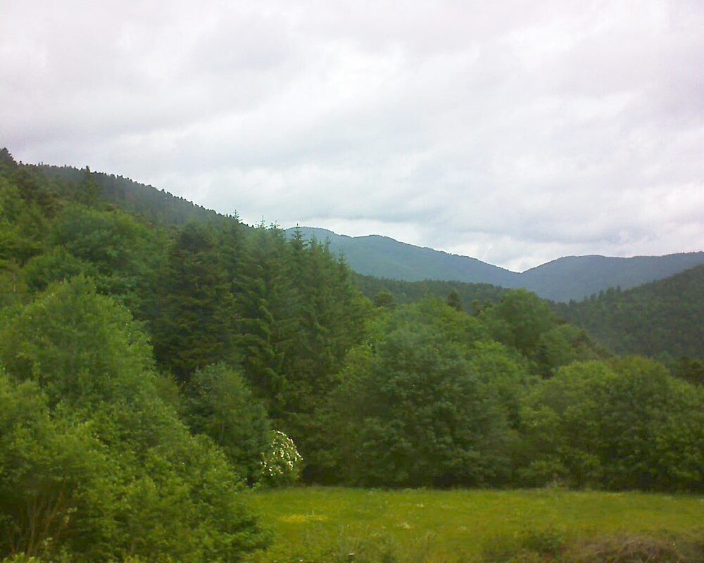 Le petit ballon vu depuis le Domaine Langmatt à Murbach le 03.06.2025 à 11:45 Le petit ballon (Alsace, Vosges) le 03.06.2025 à 11:45