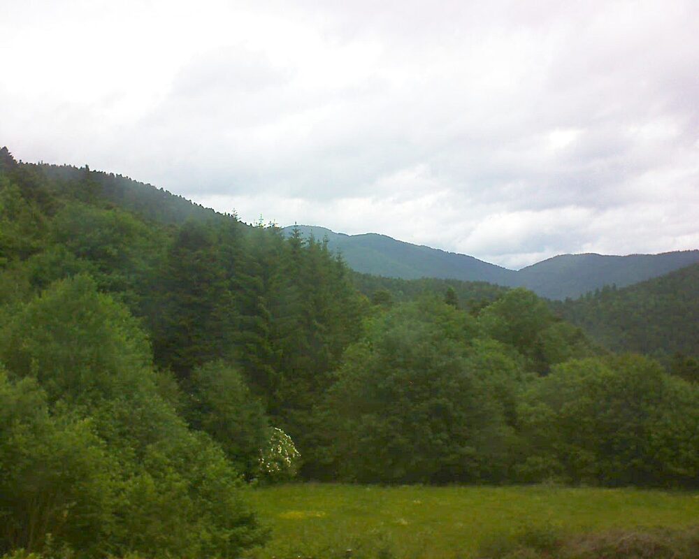 Le petit ballon vu depuis le Domaine Langmatt à Murbach le 03.06.2025 à 12:45 Le petit ballon (Alsace, Vosges) le 03.06.2025 à 12:45