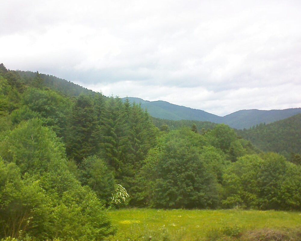 Le petit ballon vu depuis le Domaine Langmatt à Murbach le 03.06.2025 à 13:30 Le petit ballon (Alsace, Vosges) le 03.06.2025 à 13:30