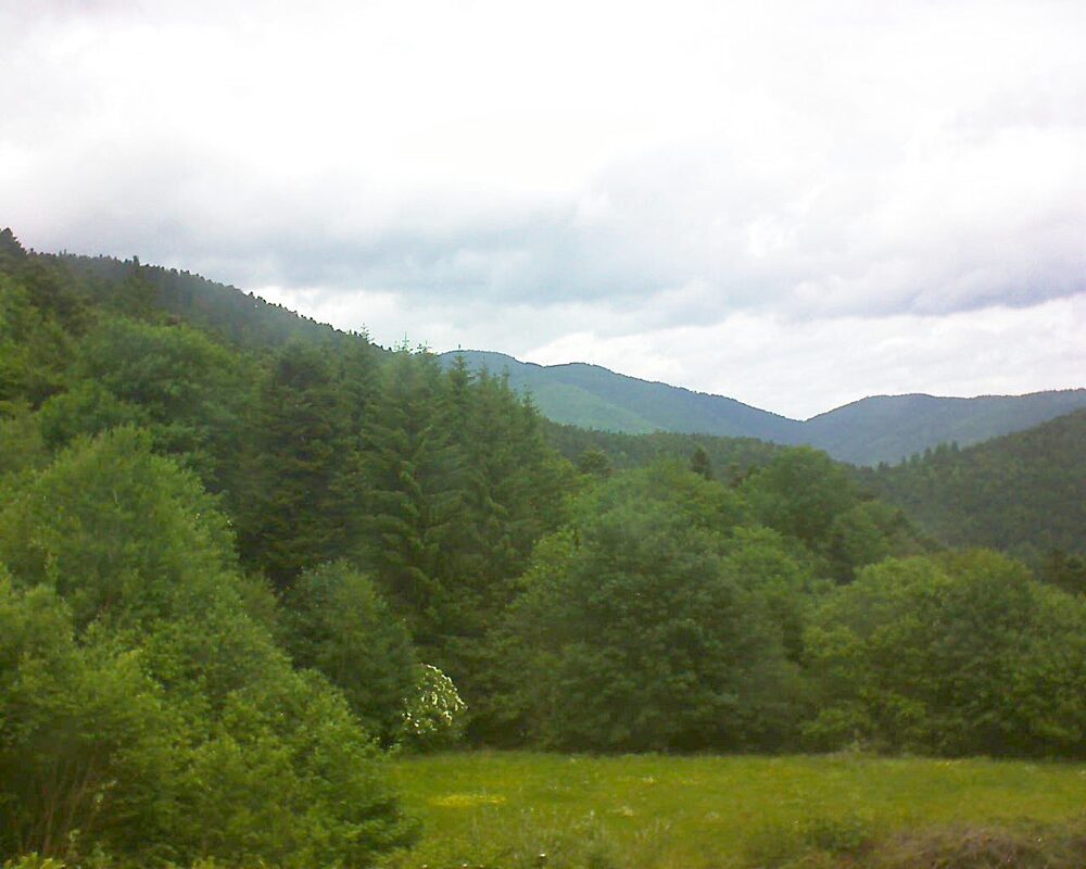 Le petit ballon vu depuis le Domaine Langmatt à Murbach le 03.06.2025 à 13:45 Le petit ballon (Alsace, Vosges) le 03.06.2025 à 13:45