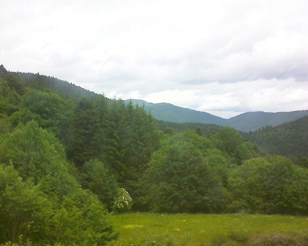 Le petit ballon vu depuis le Domaine Langmatt à Murbach le 03.06.2025 à 14:00 Le petit ballon (Alsace, Vosges) le 03.06.2025 à 14:00