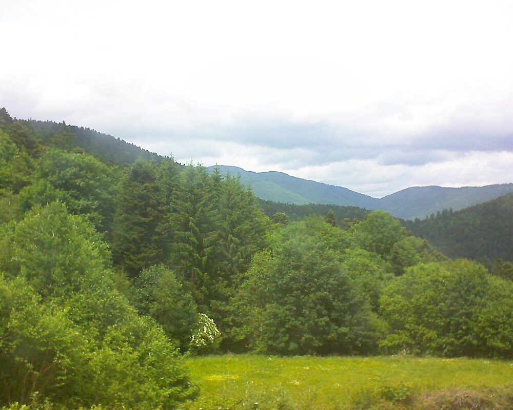 Le petit ballon vu depuis le Domaine Langmatt à Murbach le 03.06.2025 à 14:30 Le petit ballon (Alsace, Vosges) le 03.06.2025 à 14:30