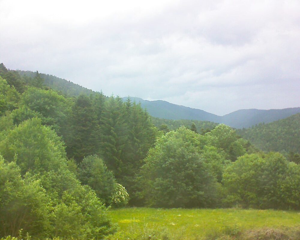 Le petit ballon vu depuis le Domaine Langmatt à Murbach le 03.06.2025 à 15:45 Le petit ballon (Alsace, Vosges) le 03.06.2025 à 15:45