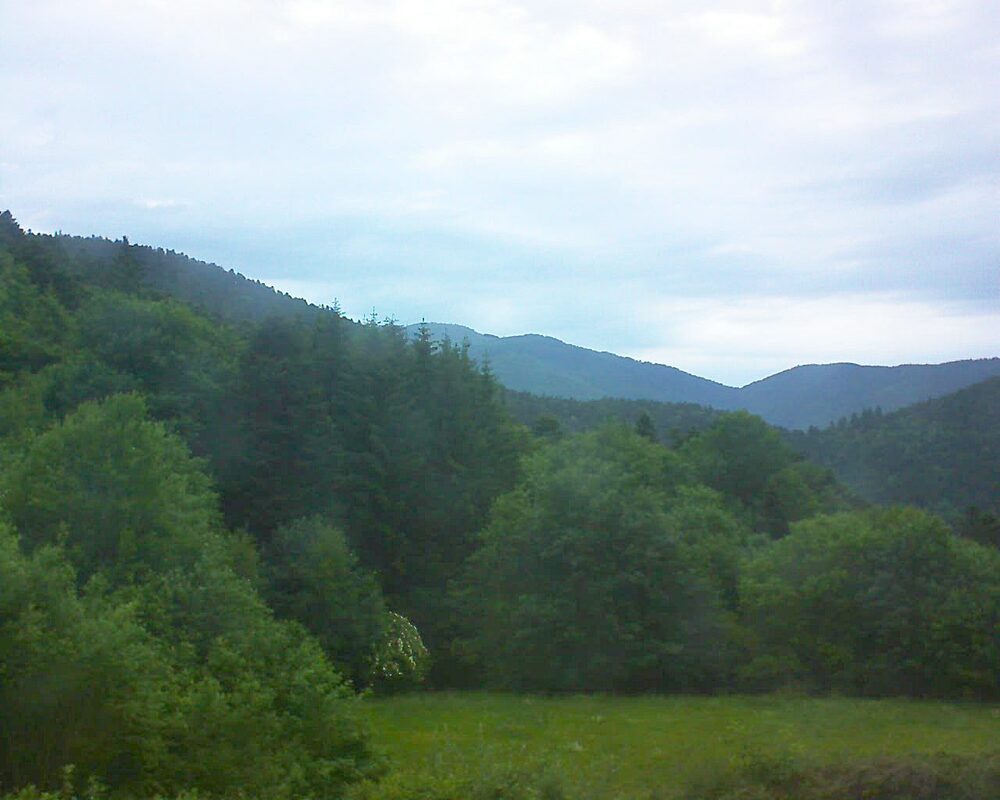 Le petit ballon (Alsace, Vosges) le 04.06.2025 à 06:15