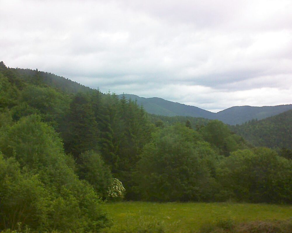 Le petit ballon (Alsace, Vosges) le 05.06.2025 à 10:45