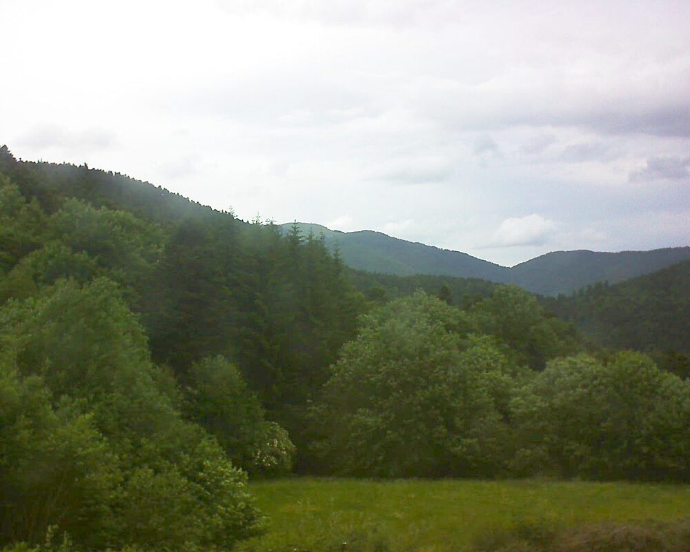 Le petit ballon vu depuis le Domaine Langmatt à Murbach le 05.06.2025 à 14:45 Le petit ballon (Alsace, Vosges) le 05.06.2025 à 14:45