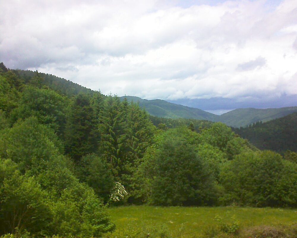 Le petit ballon vu depuis le Domaine Langmatt à Murbach le 06.06.2025 à 14:30 Le petit ballon (Alsace, Vosges) le 06.06.2025 à 14:30