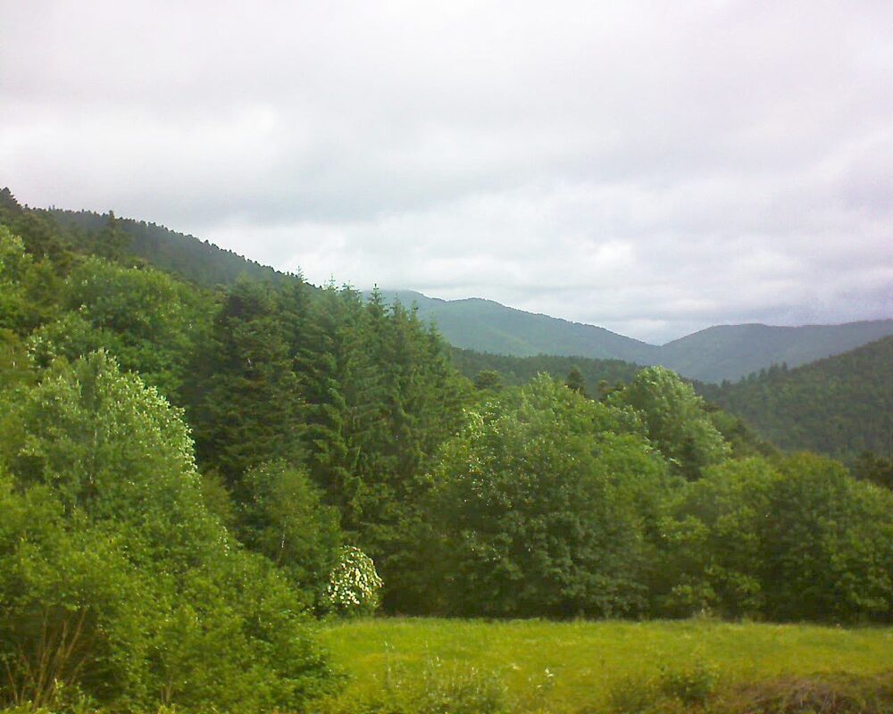 Le petit ballon vu depuis le Domaine Langmatt à Murbach le 07.06.2025 à 11:00 Le petit ballon (Alsace, Vosges) le 07.06.2025 à 11:00