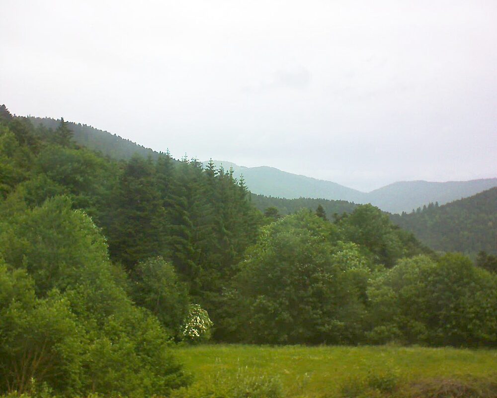 Le petit ballon vu depuis le Domaine Langmatt à Murbach le 07.06.2025 à 11:45 Le petit ballon (Alsace, Vosges) le 07.06.2025 à 11:45