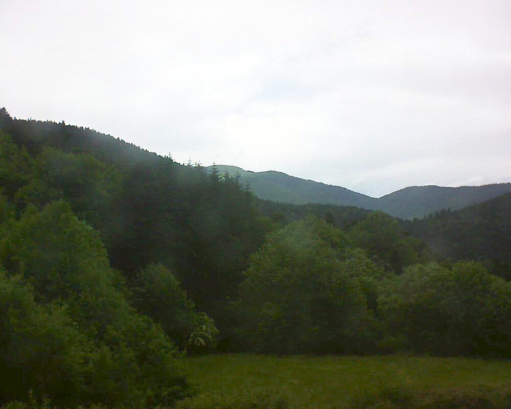 Le petit ballon (Alsace, Vosges) le 07.06.2025 à 12:00