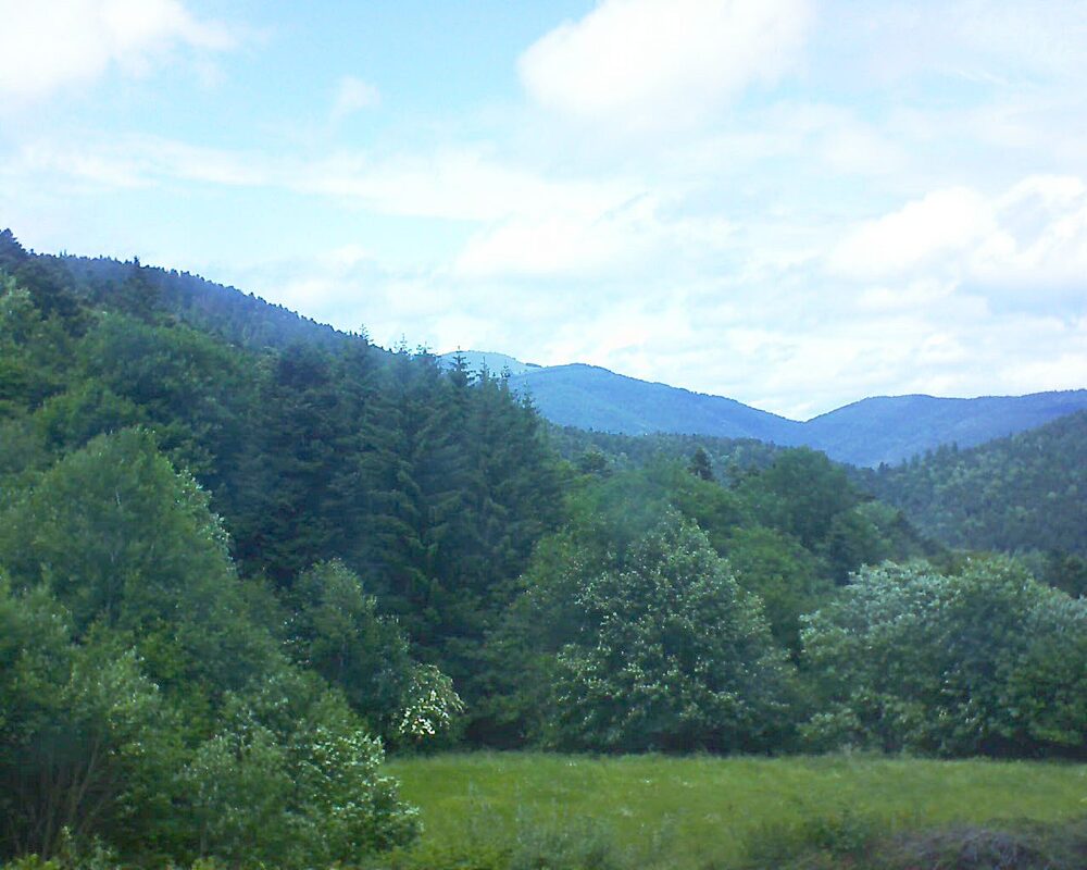 Le petit ballon vu depuis le Domaine Langmatt à Murbach le 07.06.2025 à 14:30 Le petit ballon (Alsace, Vosges) le 07.06.2025 à 14:30