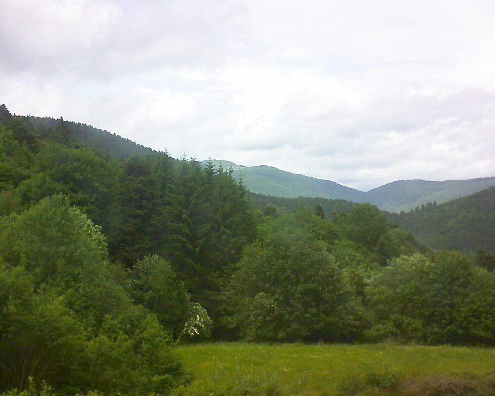 Le petit ballon vu depuis le Domaine Langmatt à Murbach le 07.06.2025 à 15:00 Le petit ballon (Alsace, Vosges) le 07.06.2025 à 15:00