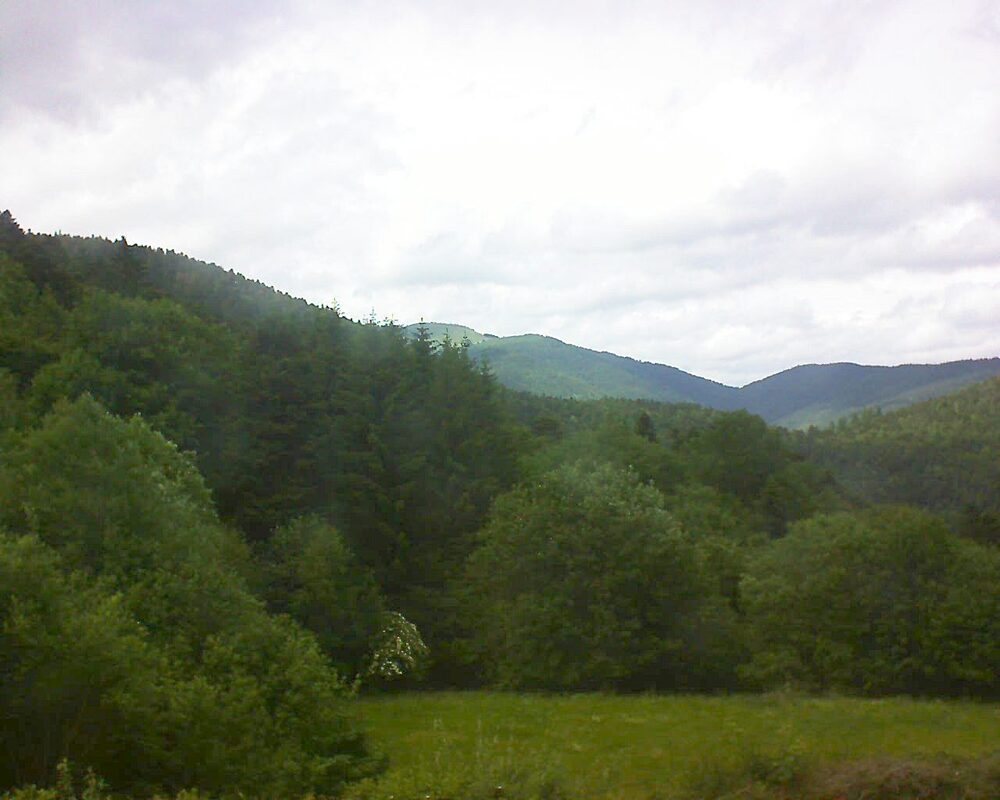 Le petit ballon vu depuis le Domaine Langmatt à Murbach le 07.06.2025 à 15:45 Le petit ballon (Alsace, Vosges) le 07.06.2025 à 15:45