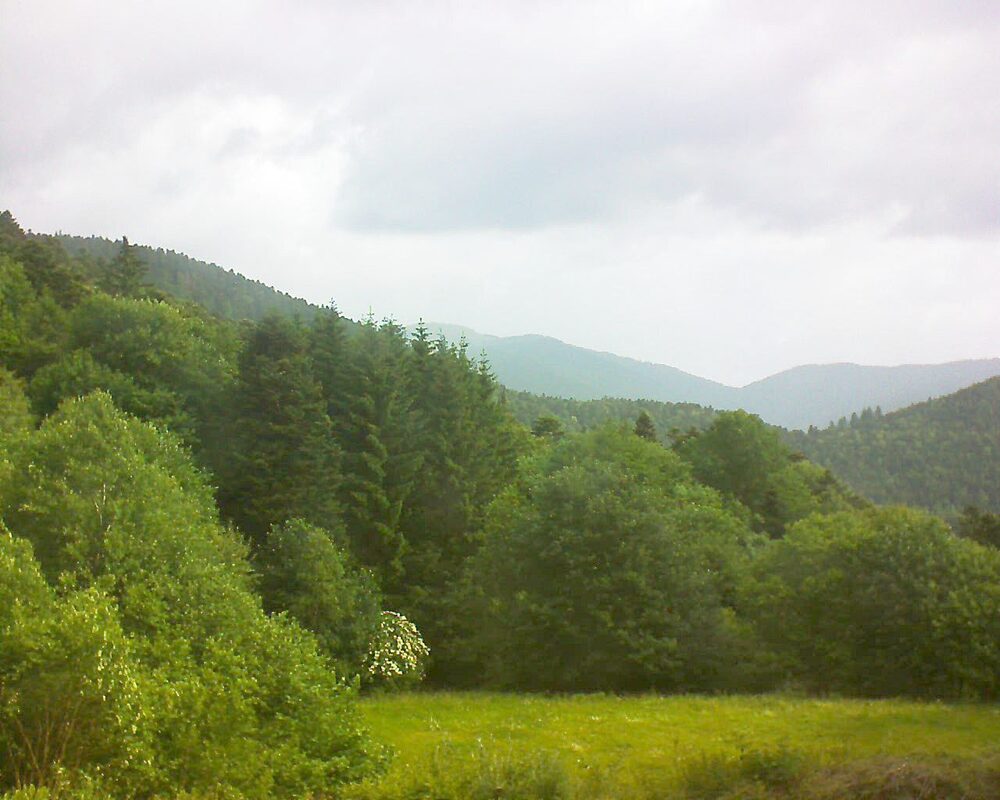 Le petit ballon (Alsace, Vosges) le 08.06.2025 à 08:45