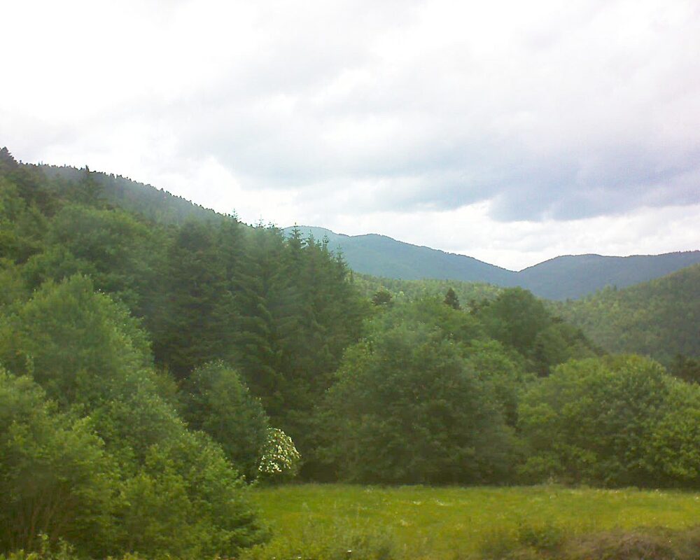Le petit ballon vu depuis le Domaine Langmatt à Murbach le 08.06.2025 à 14:45 Le petit ballon (Alsace, Vosges) le 08.06.2025 à 14:45