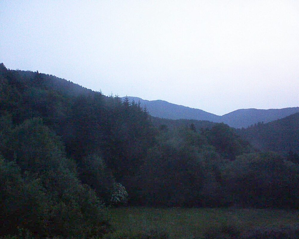 Le petit ballon (Alsace, Vosges) le 09.06.2025 à 05:15